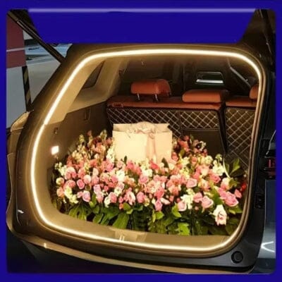 AutoLED light demis coffre carroussel fleurs