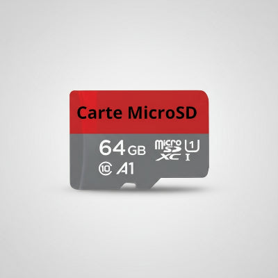 carte MicroSd