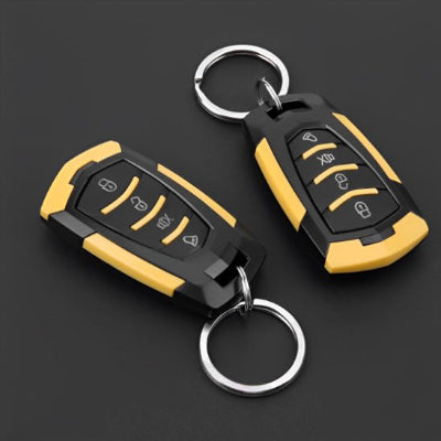 alarme-pour-voiture-vigicar-telecomande