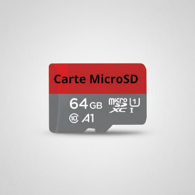 carte MicroSd
